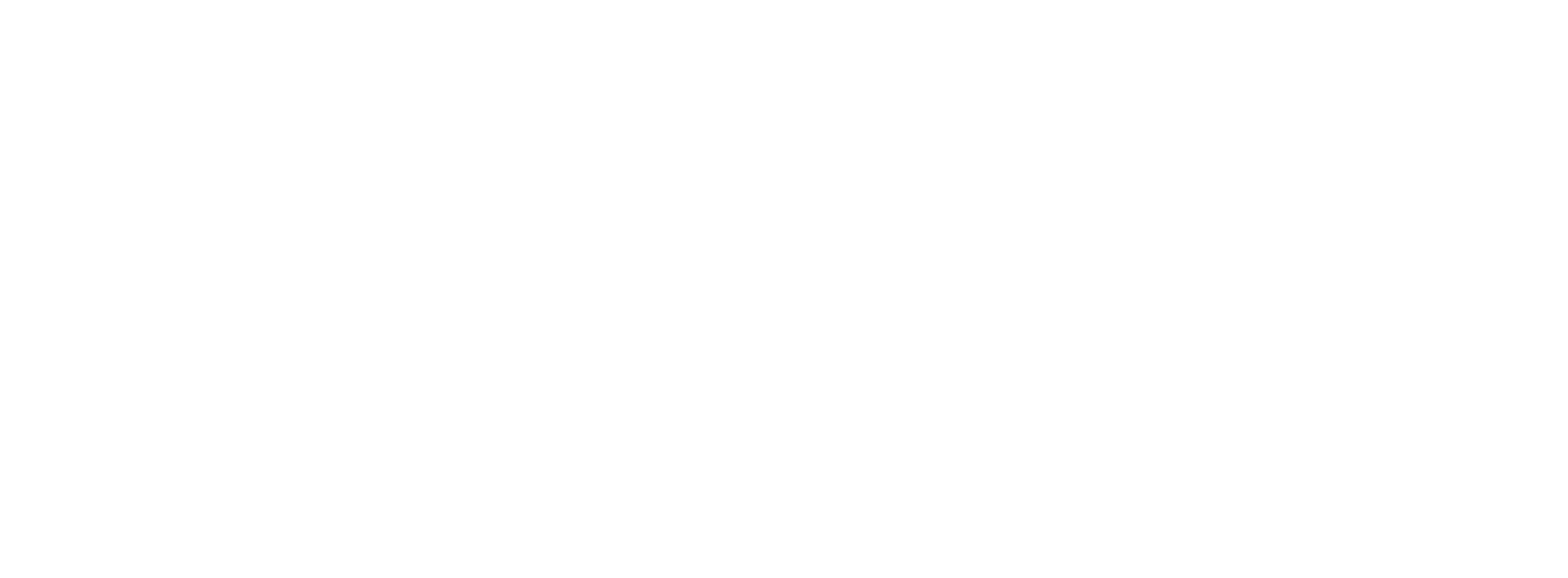 Kung Fu Franchise